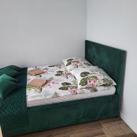 Nest Apartament Zator Esterno foto