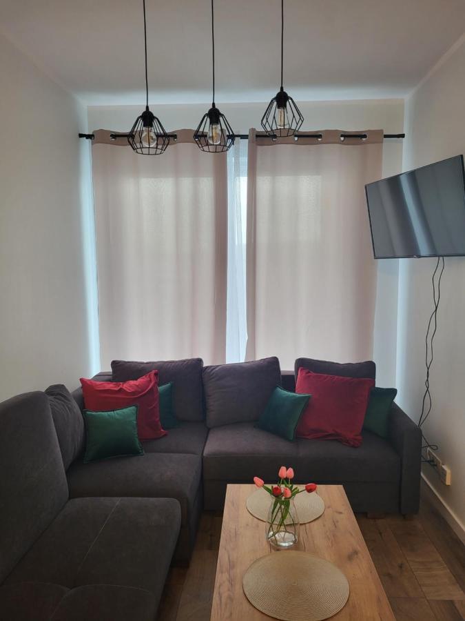 Nest Apartament Zator Esterno foto